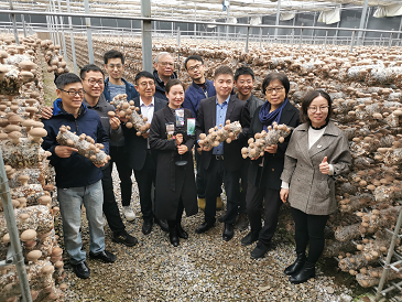 設(shè)施食用菌研發(fā)邁入智能化新階段——國(guó)家重點(diǎn)研發(fā)計(jì)劃課題中期檢查會(huì)暨香菇液體菌種現(xiàn)場(chǎng)會(huì)在豫召開(kāi)