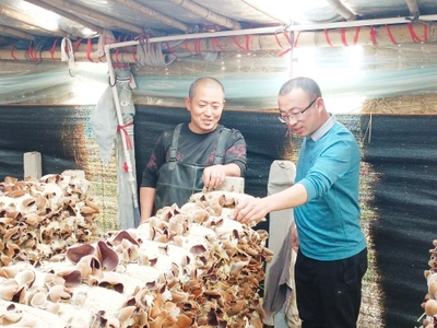 魚(yú)臺(tái)影像 毛木耳特色產(chǎn)業(yè)催農(nóng)富，科技研發(fā)引領(lǐng)食用菌新篇章