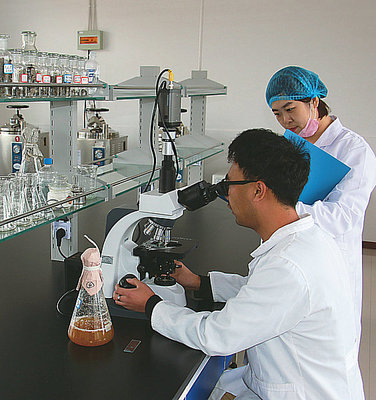 科技之光映照菌菇新篇——當(dāng)“日出江花紅勝火”的靈感邂逅食用菌研發(fā)