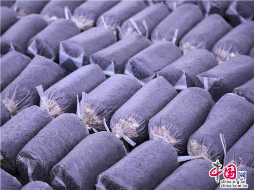 貴州獨山 東風吹拂菌子香 菇舞人心銷售忙