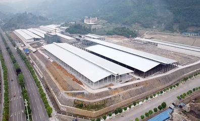 道真小蘑菇 科技賦能食用菌研發，鮮香直達二十余省市民餐桌